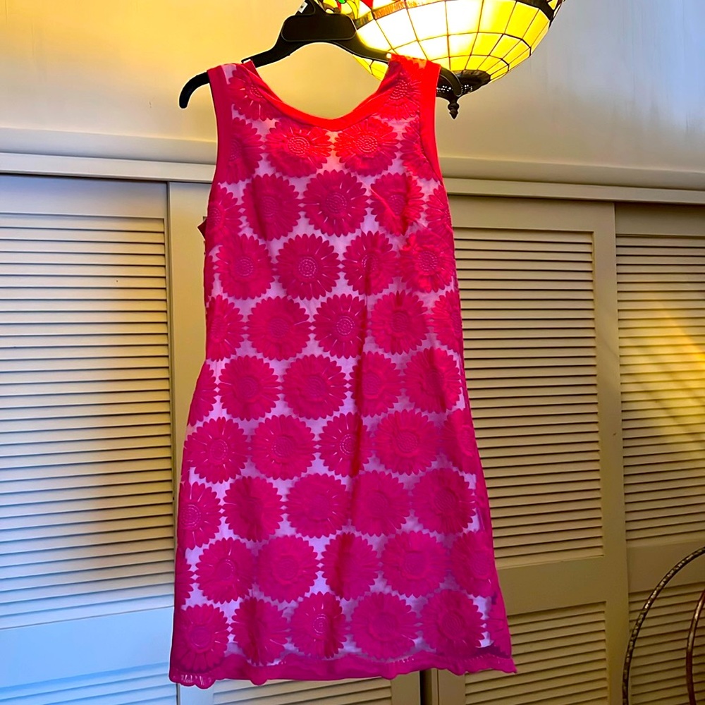 Sleeveless dress with embroidered flowers beautiful taffeta type material. Liner